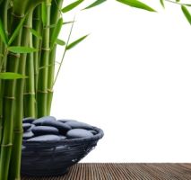 bamboo plant; feng shui in the home